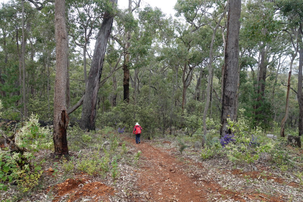 Collie to Balingup Bibbulmun Track