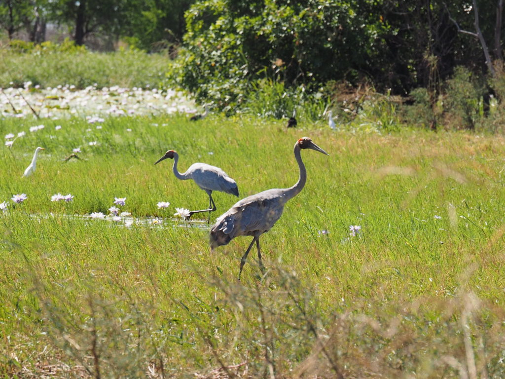 Kimberley Guided Walking Tour | Inspiration Outdoors