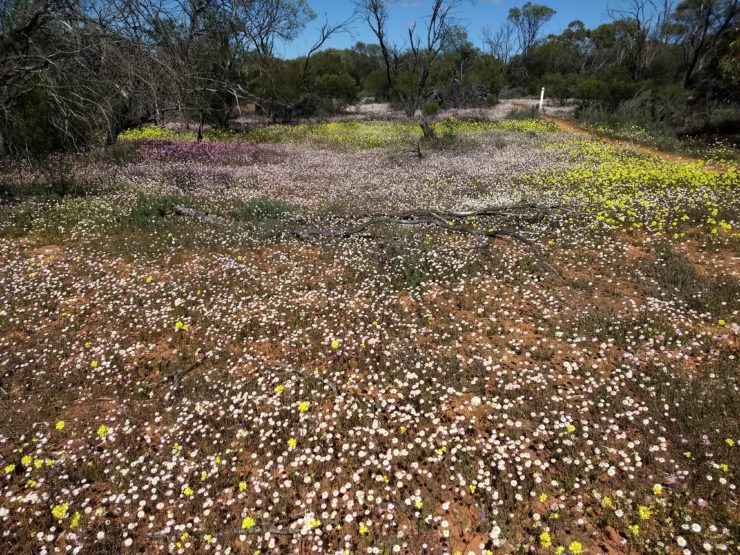 Kalbarri Coral Coast Walking Tour | Inspiration Outdoors