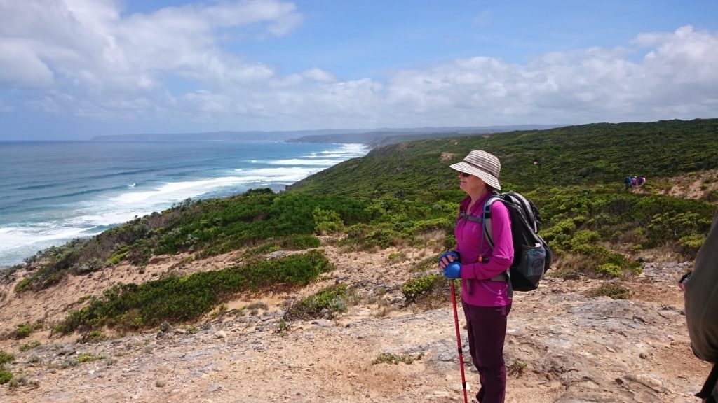 Overnight hikes clearance otways