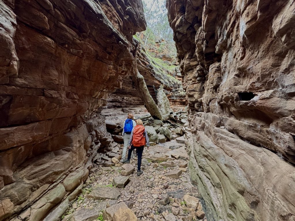 Flinders Ranges guided walking tour