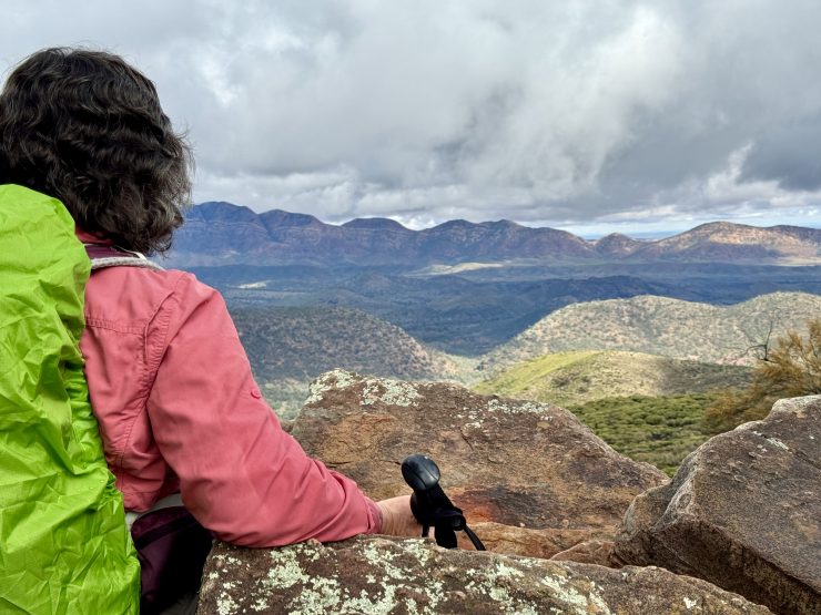 Day 3 - Black Gap to Wilpena Pound