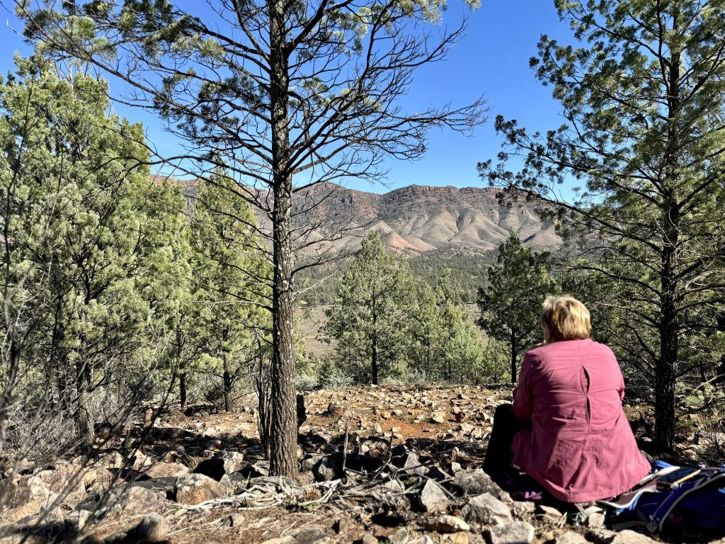 Flinders Ranges guided walking tour