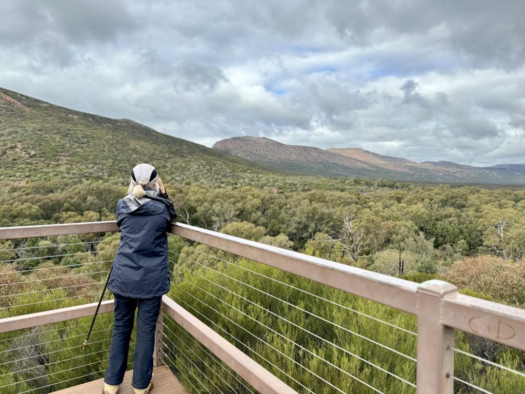 Flinders Ranges guided walking tour