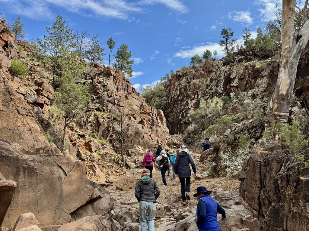 Flinders Ranges guided walking tour