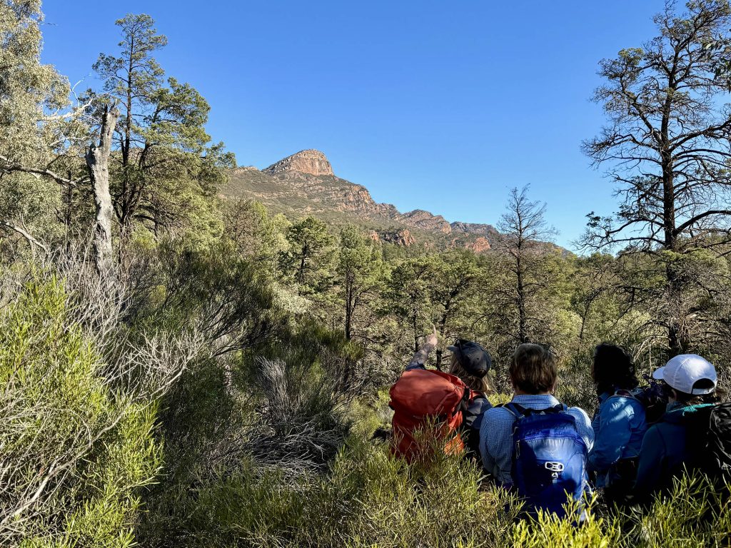 Flinders Ranges guided walking tour