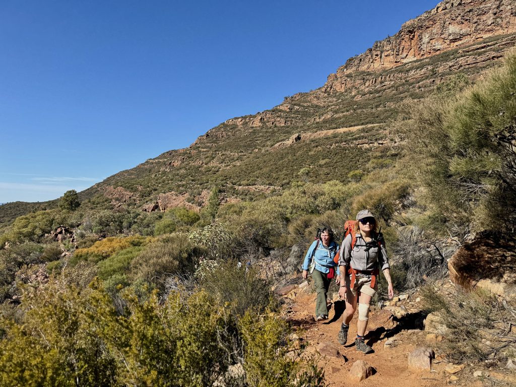 Flinders Ranges guided walking tour