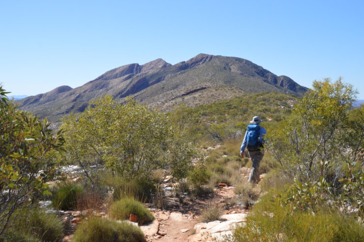 The 6 things you should know before hiking Larapinta Trail