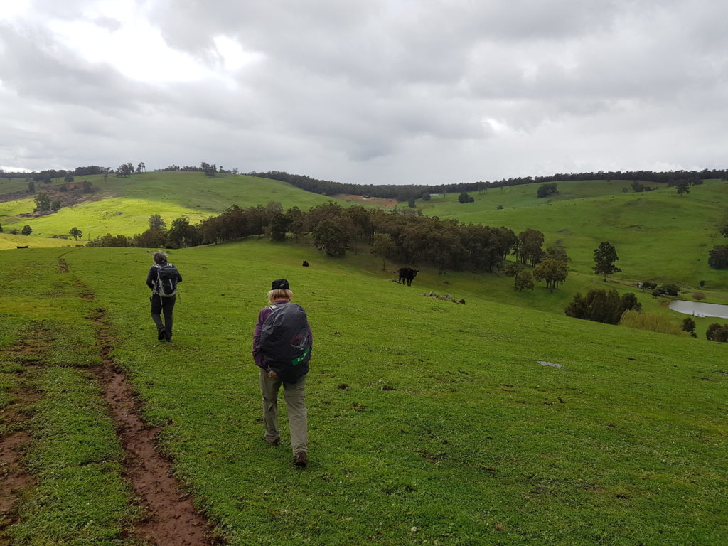 Bibbulmun Track Donnely River to Balingup