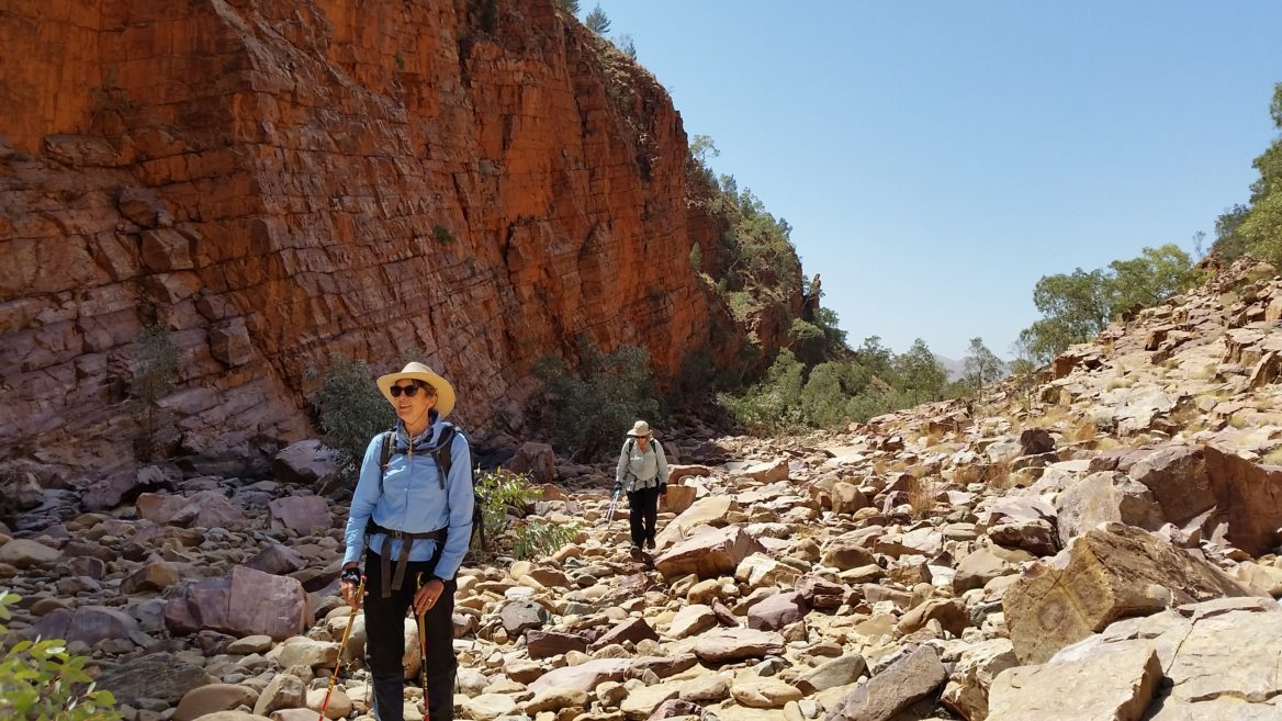 larapinta trail tour company