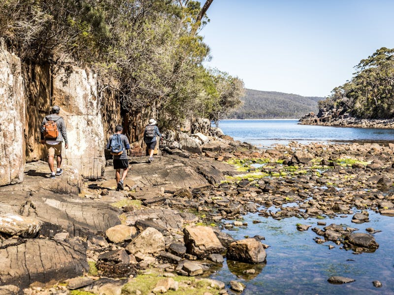 Bivouac Bay tasman national park hikers walking