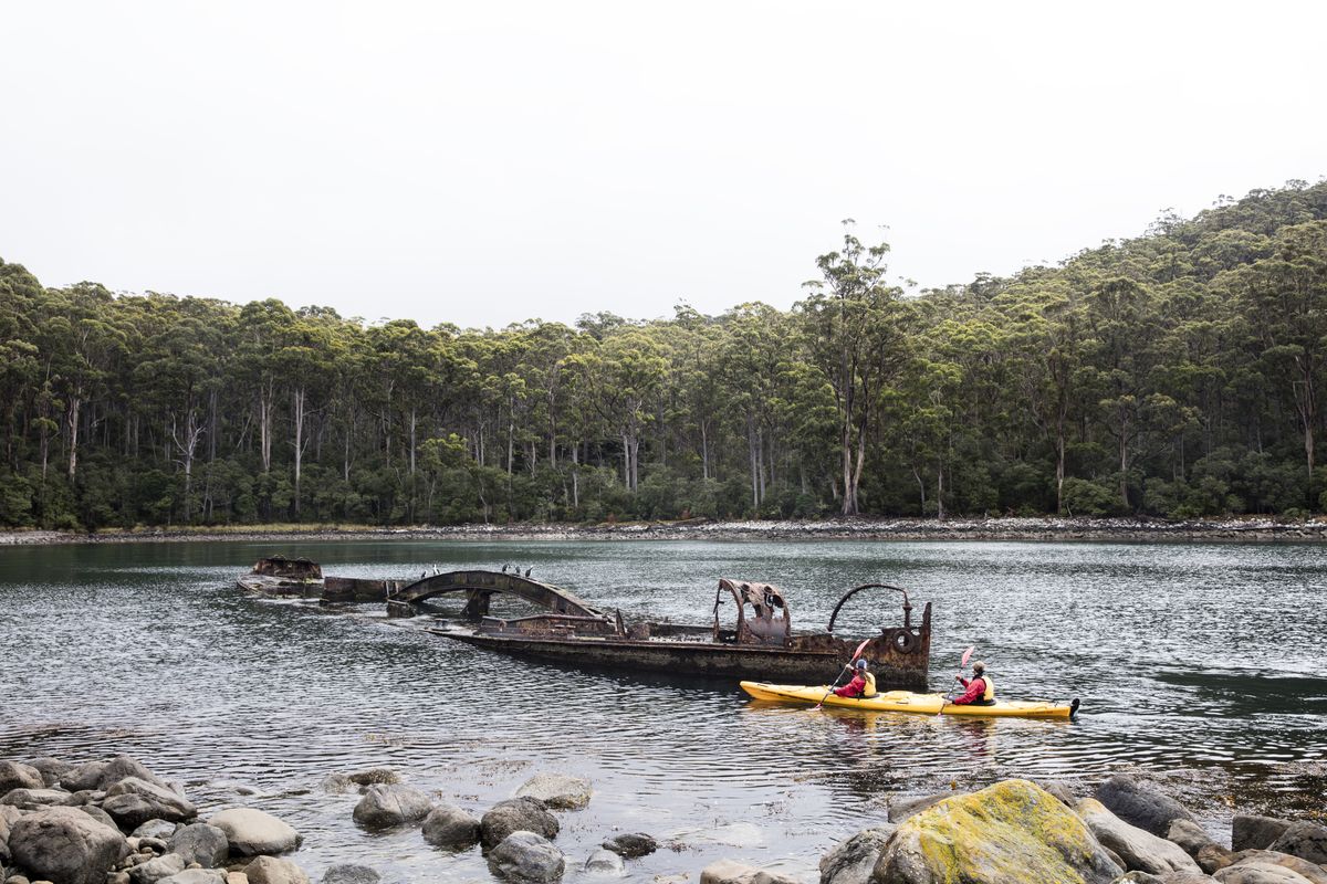 canoe bay tasman national park