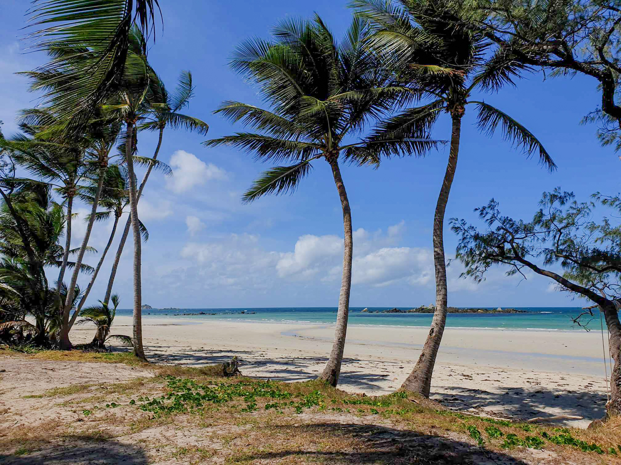 A serene view of Chilli Beach in Cape York, Queensland, featuring tall palm trees swaying over a pristine sandy beach with turquoise waters and clear blue skies in the background with inspiration outdoors