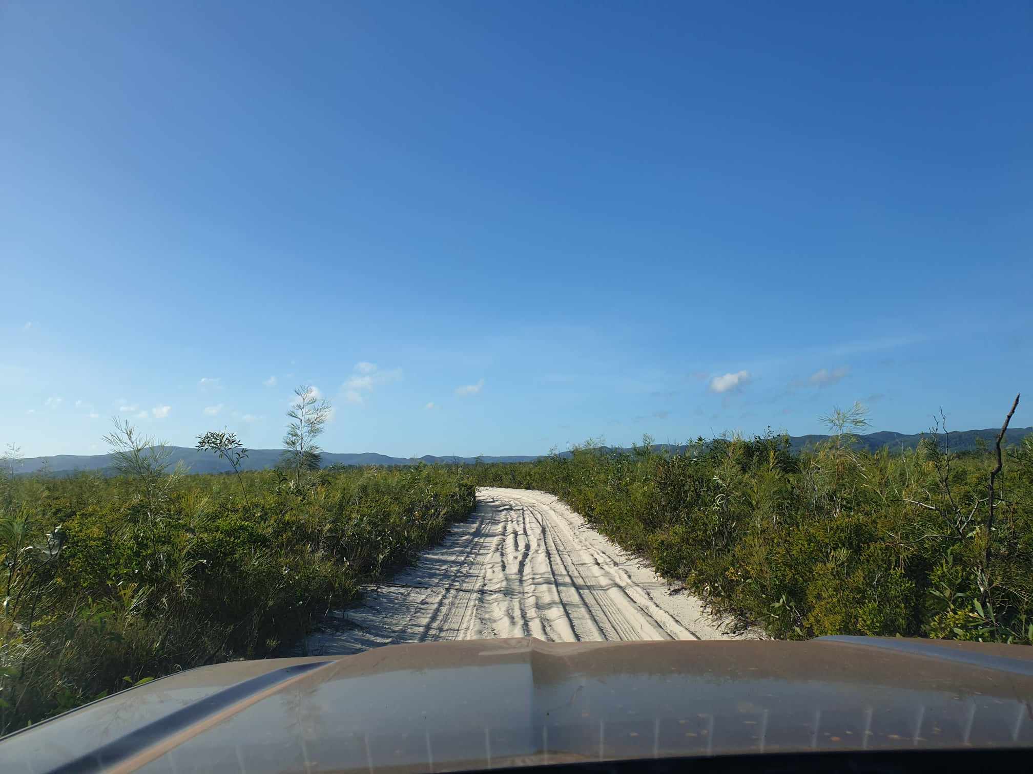 A scenic view from a 4WD vehicle driving along the sandy Frenchmans Track in Cape York, Queensland, with lush greenery on both sides and clear blue skies overhead with inspiration outdoors