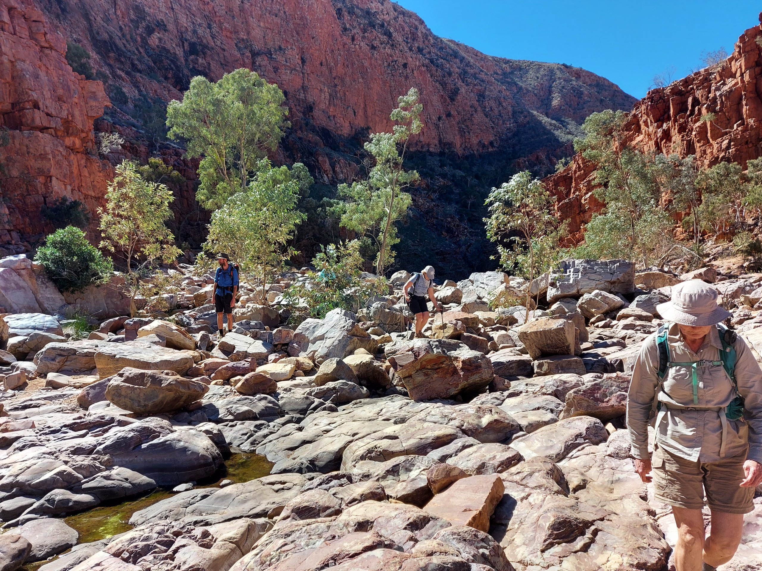 Travellers navigate the rocky riverbed of Ormiston Gorge on the Larapinta Trail, surrounded by towering red cliffs and native flora. A stunning highlight of the First Nations-guided walking experience with Inspiration Outdoors.