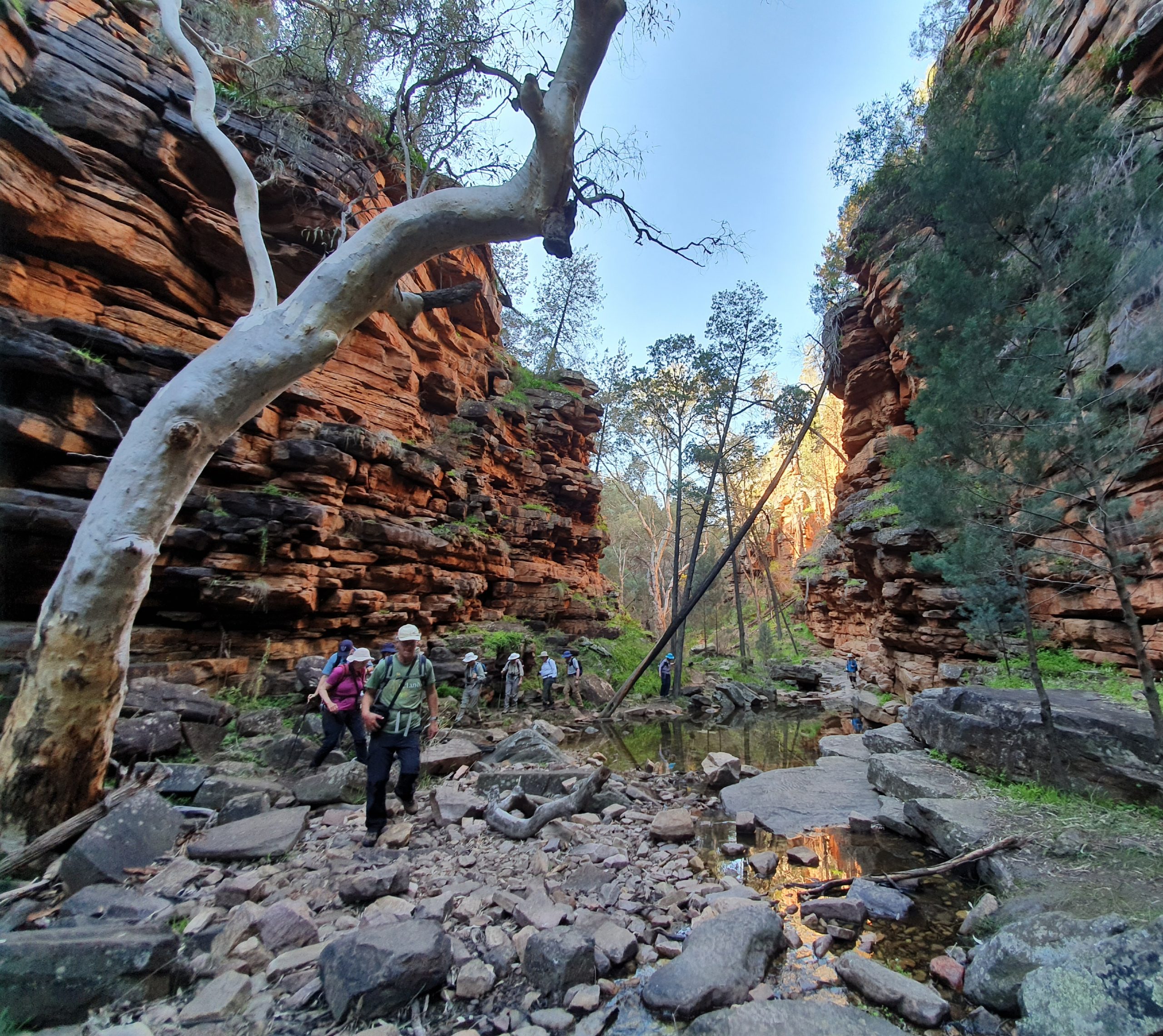 Hikers exploring the stunning Alligator Gorge in the Flinders Ranges, surrounded by towering red rock walls and rugged outback terrain. This iconic South Australian hiking destination offers breathtaking scenery and diverse landscapes. Experience guided walking tours with Inspiration Outdoors and discover the best of the Flinders Ranges on foot.