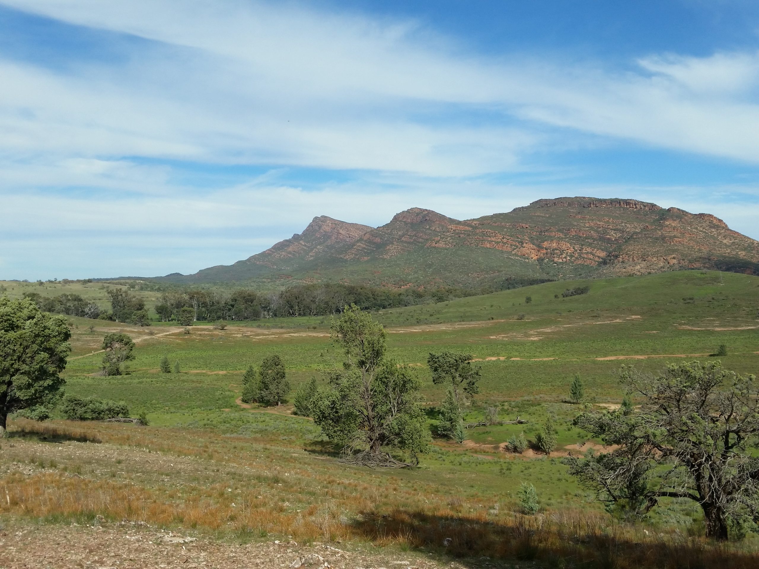 Scenic view of Wilpena Pound in the Flinders Ranges, showcasing rugged mountain peaks, rolling green plains, and iconic Australian outback landscapes. Explore this breathtaking region on an Inspiration Outdoors guided walking tour, where ancient geology and rich Aboriginal heritage come to life.